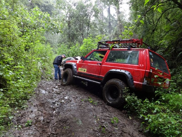  Tour na floresta 